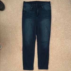 Grace & Lace Blue Skinny Jeans with Classic Denim Fit